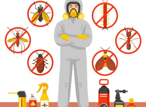 Pest control service vector illustration with exterminator of insects in chemical protective suit termites and disinfection cans flat icons